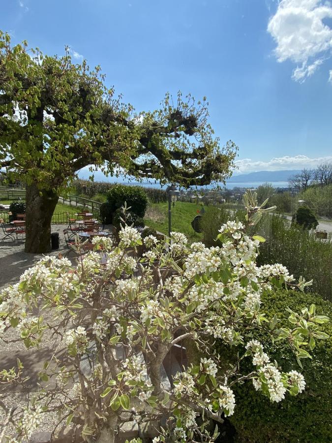 Hotel Montfort-Schloessle Lindau  Kültér fotó