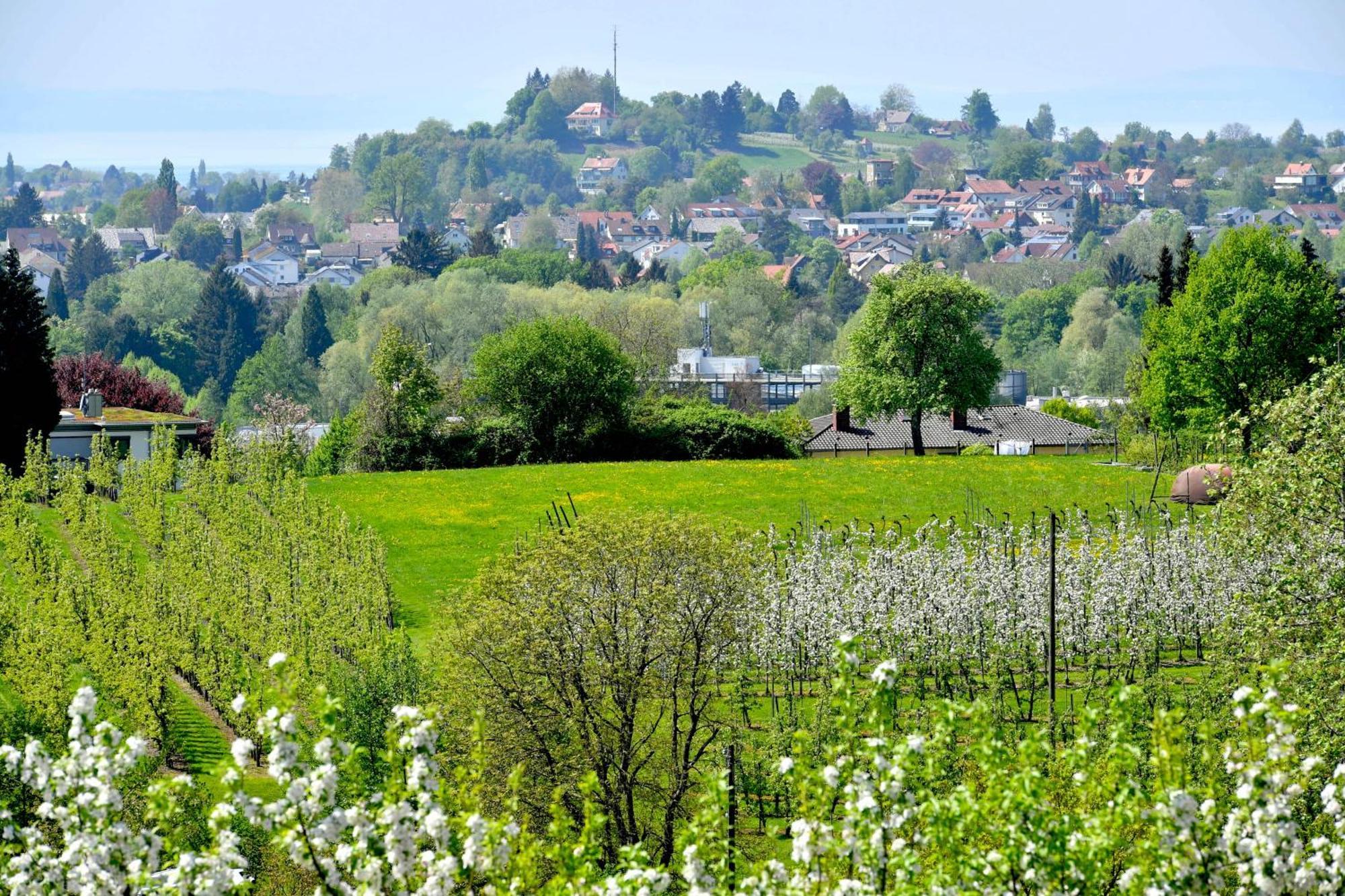 Hotel Montfort-Schloessle Lindau  Szoba fotó
